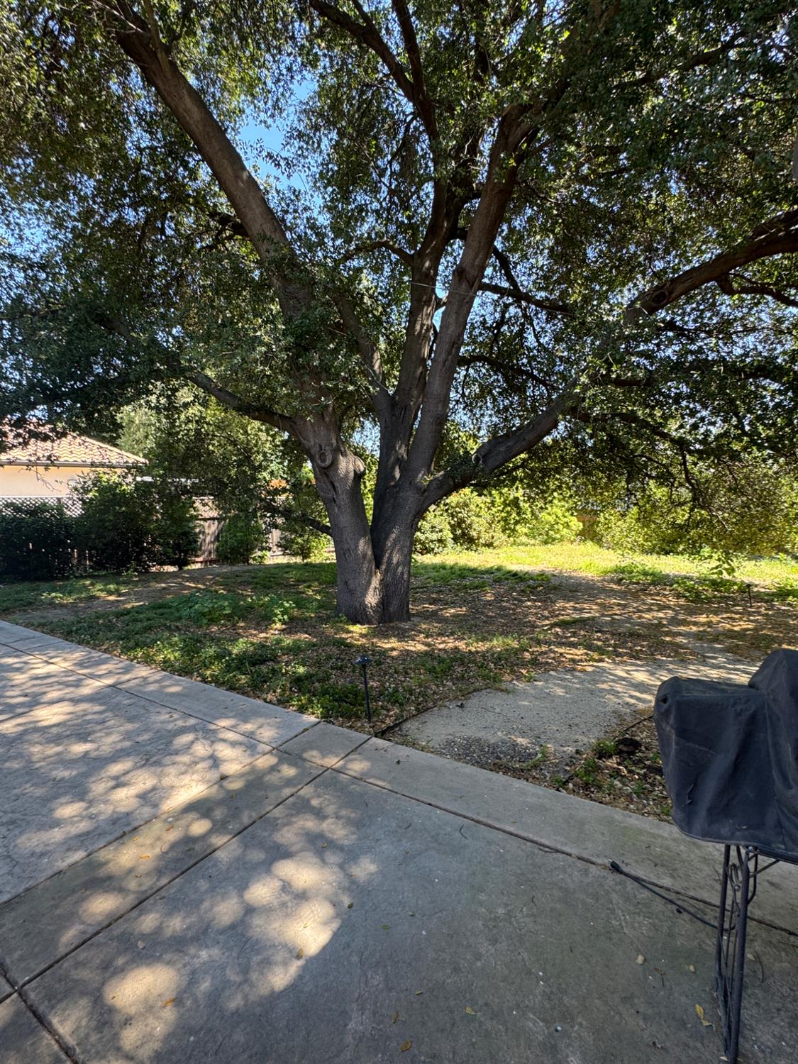Detail Gallery Image 54 of 60 For 8856 Venikov Pl, Orangevale,  CA 95662 - 4 Beds | 3 Baths