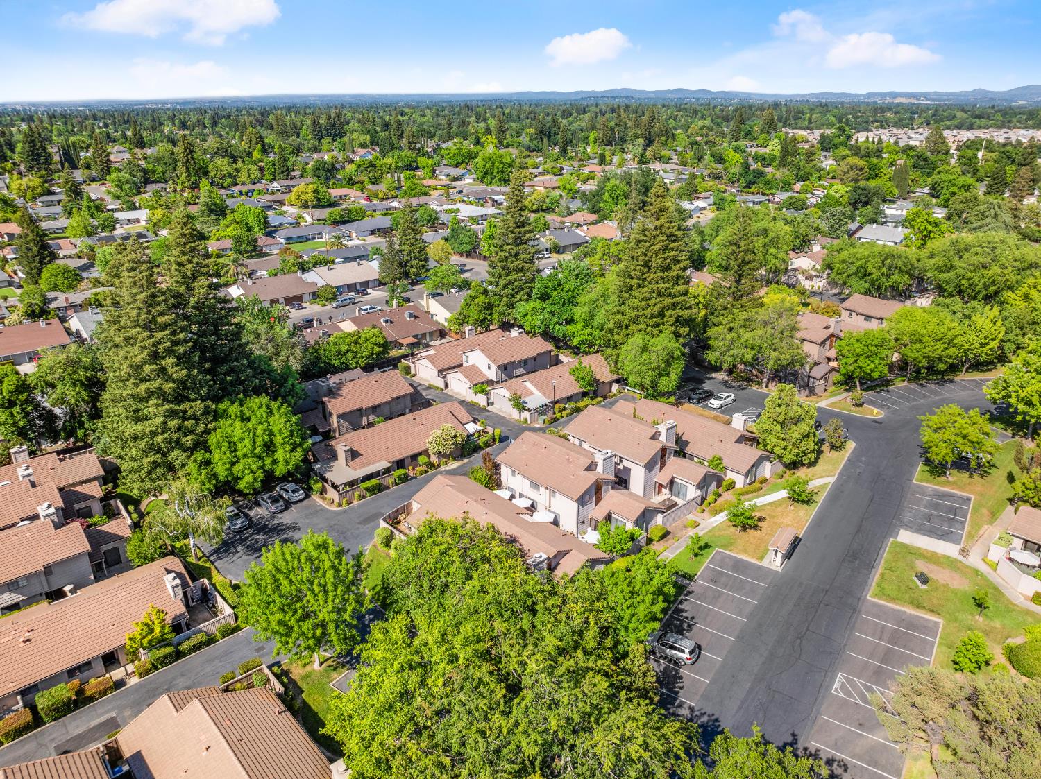 Detail Gallery Image 41 of 53 For 8193 Rose Vine Ln, Fair Oaks,  CA 95628 - 2 Beds | 2 Baths