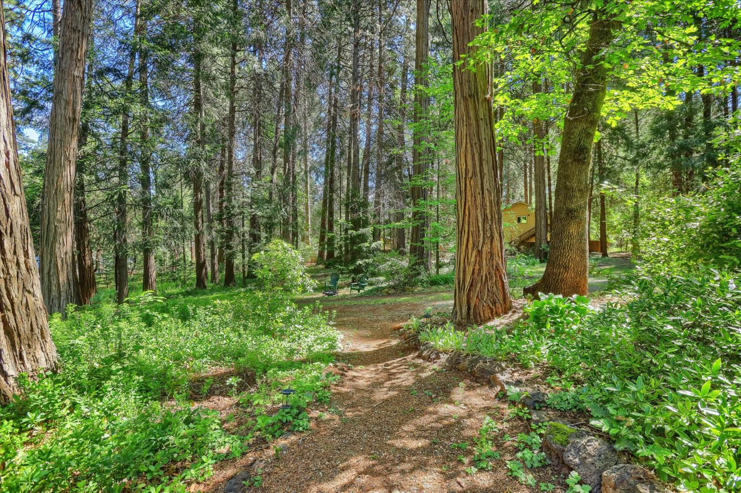 Detail Gallery Image 57 of 76 For 16800 Sun Bloom Way, Nevada City,  CA 95959 - 4 Beds | 3 Baths