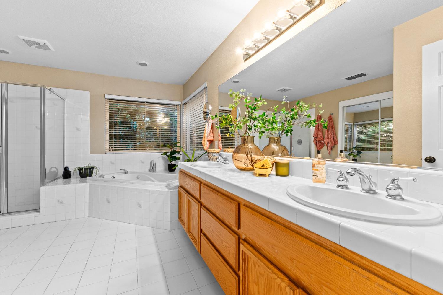 Ribier Way, Cameron Park, California image 9