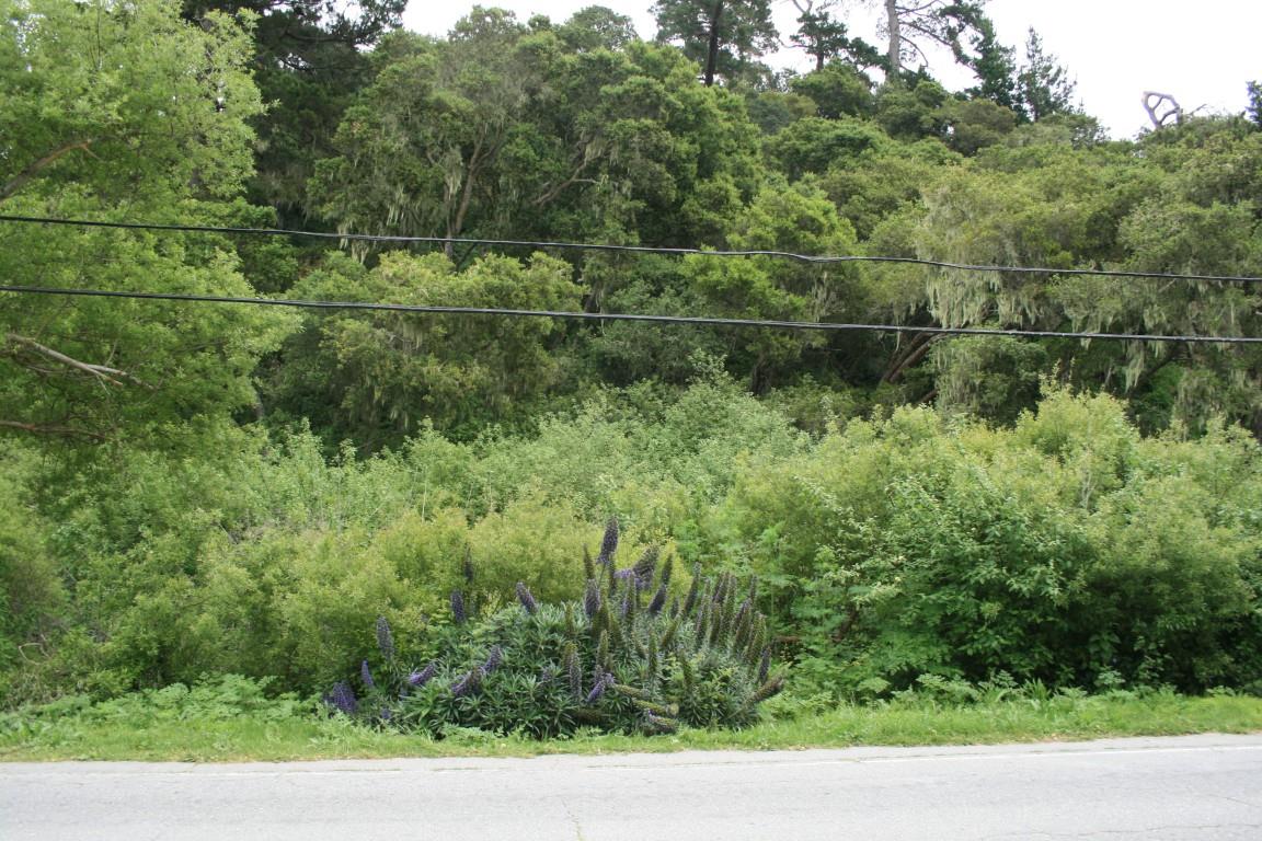 Detail Gallery Image 7 of 8 For 0 Aguajito Rd, Monterey,  CA 93940 - – Beds | – Baths