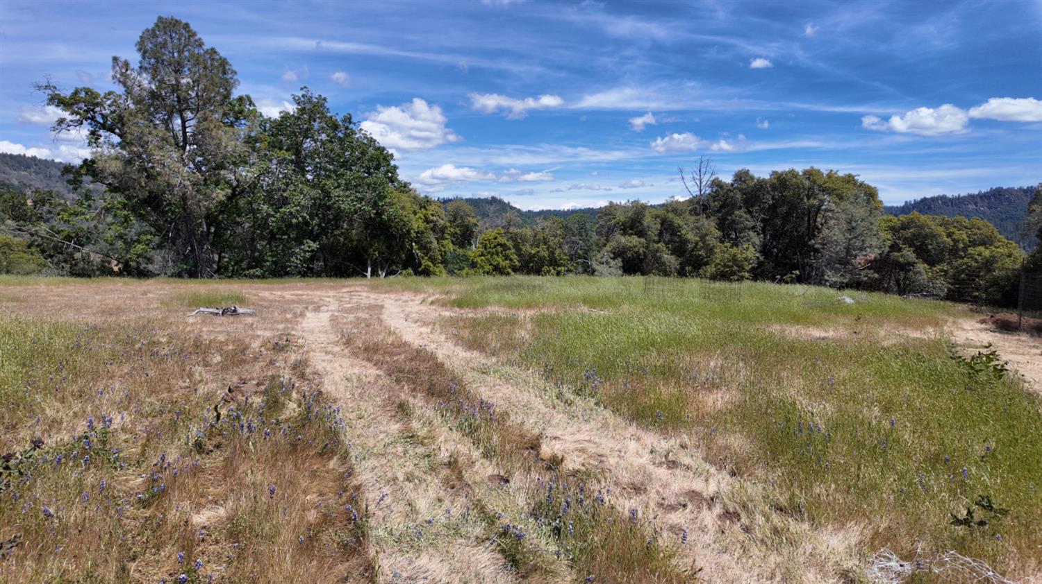 Detail Gallery Image 29 of 29 For 0 Hubbard Rd, Sheep Ranch,  CA 95246 - – Beds | – Baths