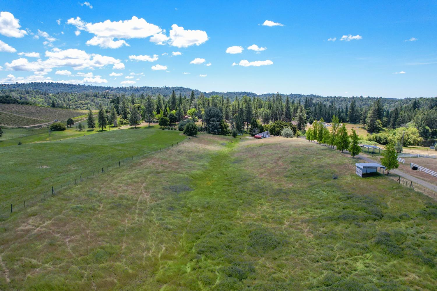 Detail Gallery Image 80 of 96 For 3081 Little Spur, Somerset,  CA 95684 - 3 Beds | 2 Baths