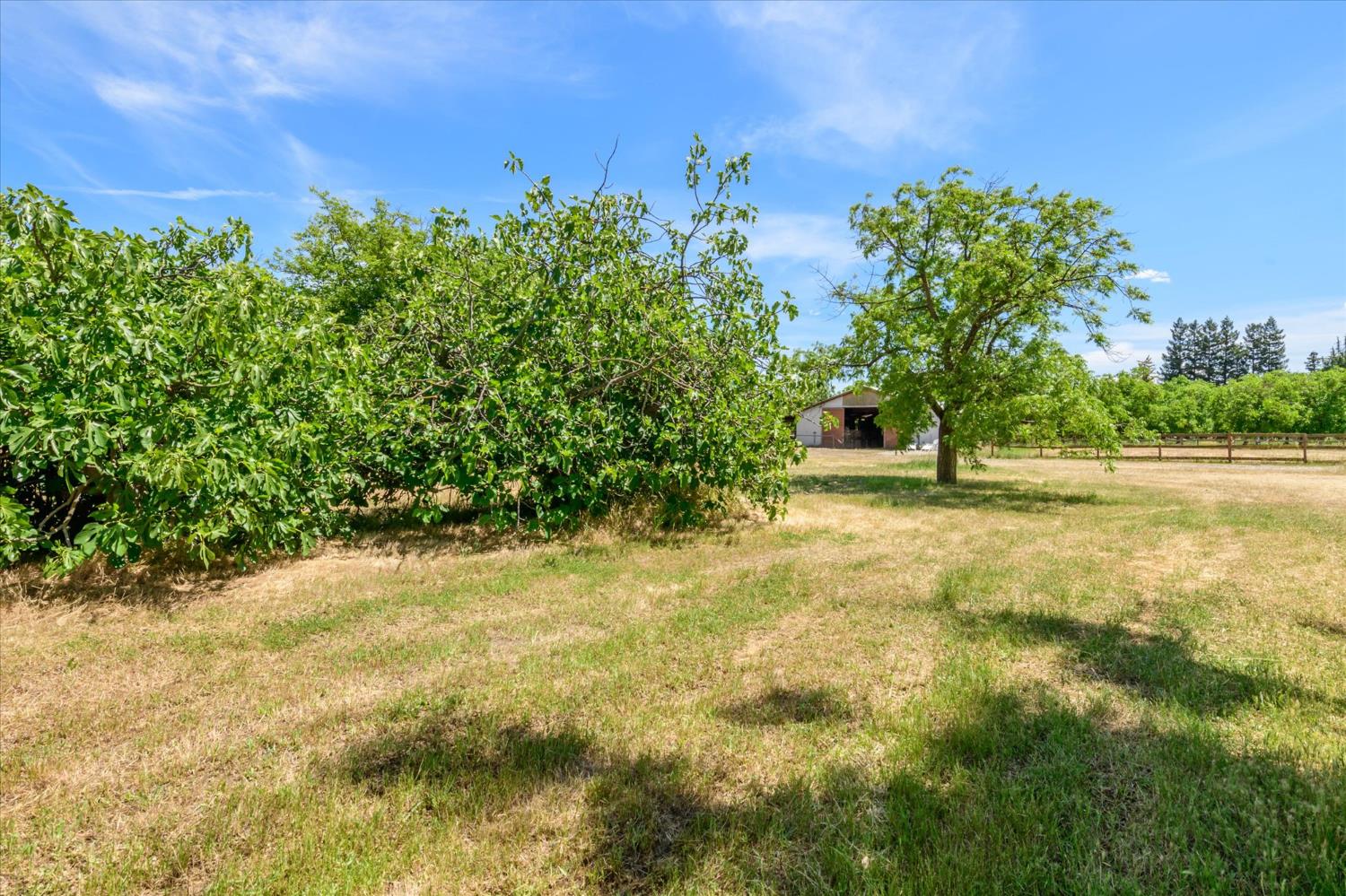 Detail Gallery Image 43 of 56 For 25233 County Road 96, Davis,  CA 95616 - 4 Beds | 2 Baths