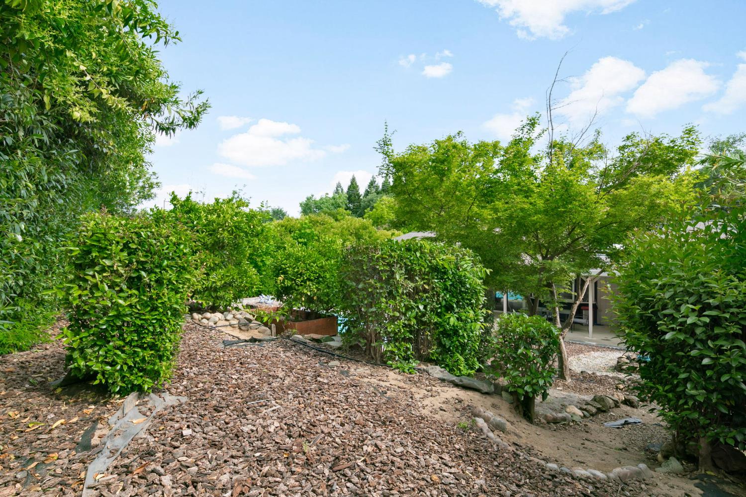 Detail Gallery Image 43 of 46 For 8717 Sunset Ave, Fair Oaks,  CA 95628 - 3 Beds | 2 Baths