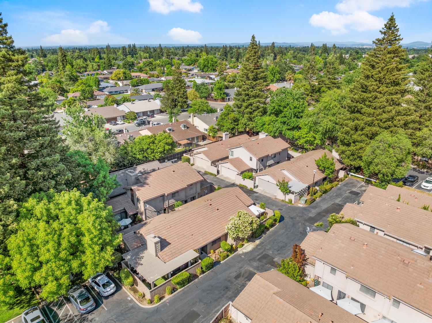 Detail Gallery Image 43 of 53 For 8193 Rose Vine Ln, Fair Oaks,  CA 95628 - 2 Beds | 2 Baths