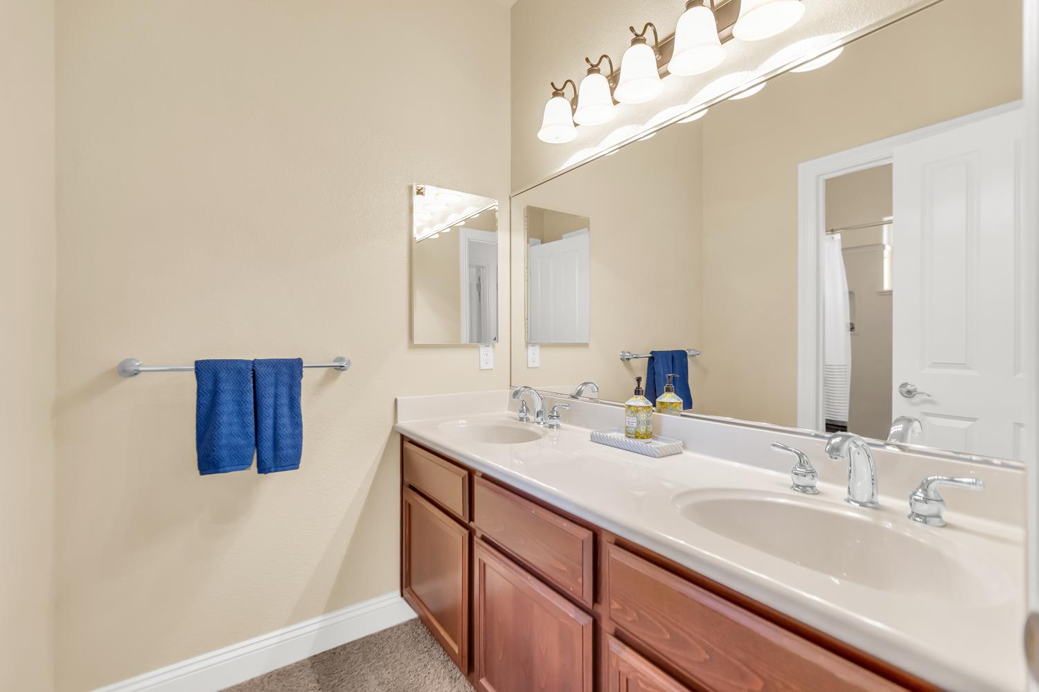 Detail Gallery Image 54 of 76 For 8530 Mandorla Cir, Orangevale,  CA 95662 - 4 Beds | 3/1 Baths