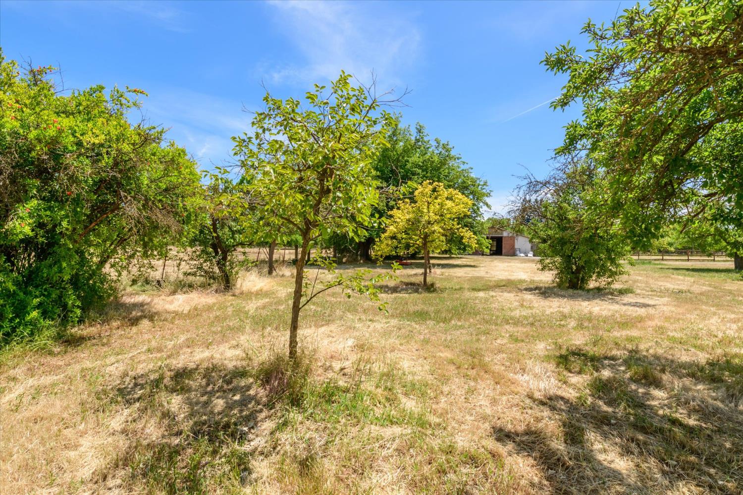Detail Gallery Image 42 of 56 For 25233 County Road 96, Davis,  CA 95616 - 4 Beds | 2 Baths