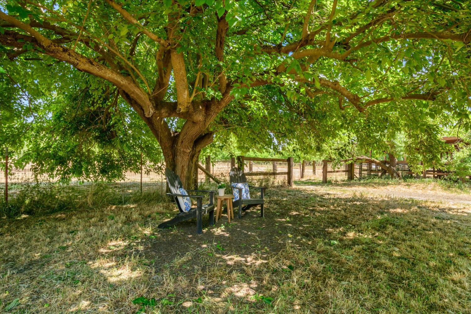Detail Gallery Image 41 of 56 For 25233 County Road 96, Davis,  CA 95616 - 4 Beds | 2 Baths