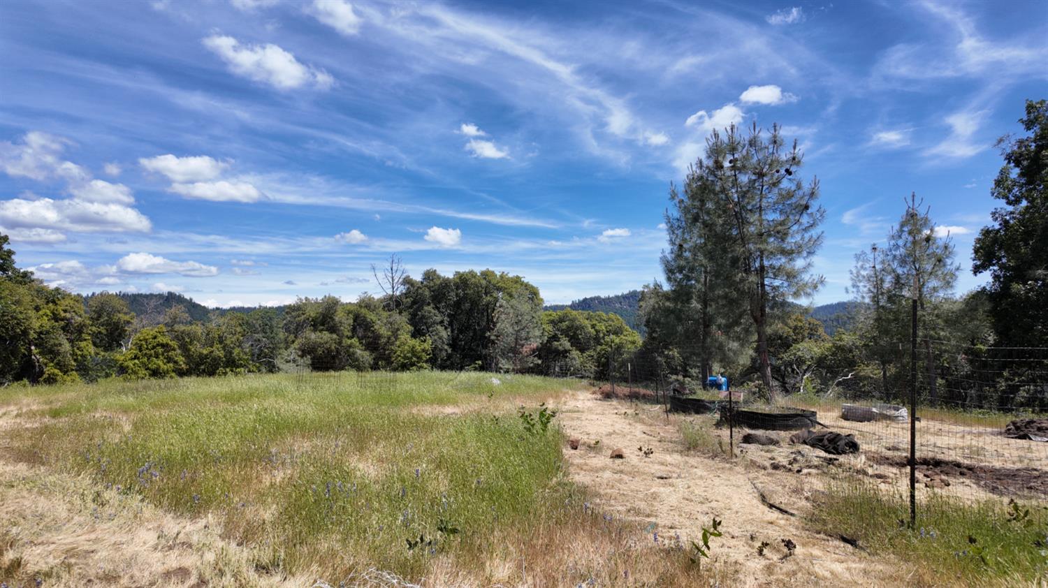 Detail Gallery Image 25 of 29 For 0 Hubbard Rd, Sheep Ranch,  CA 95246 - – Beds | – Baths