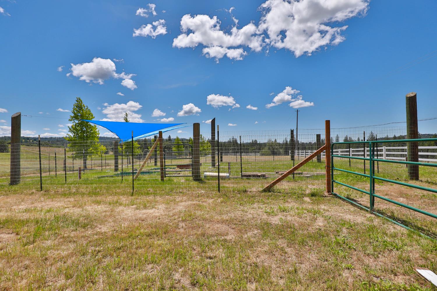 Detail Gallery Image 57 of 96 For 3081 Little Spur, Somerset,  CA 95684 - 3 Beds | 2 Baths