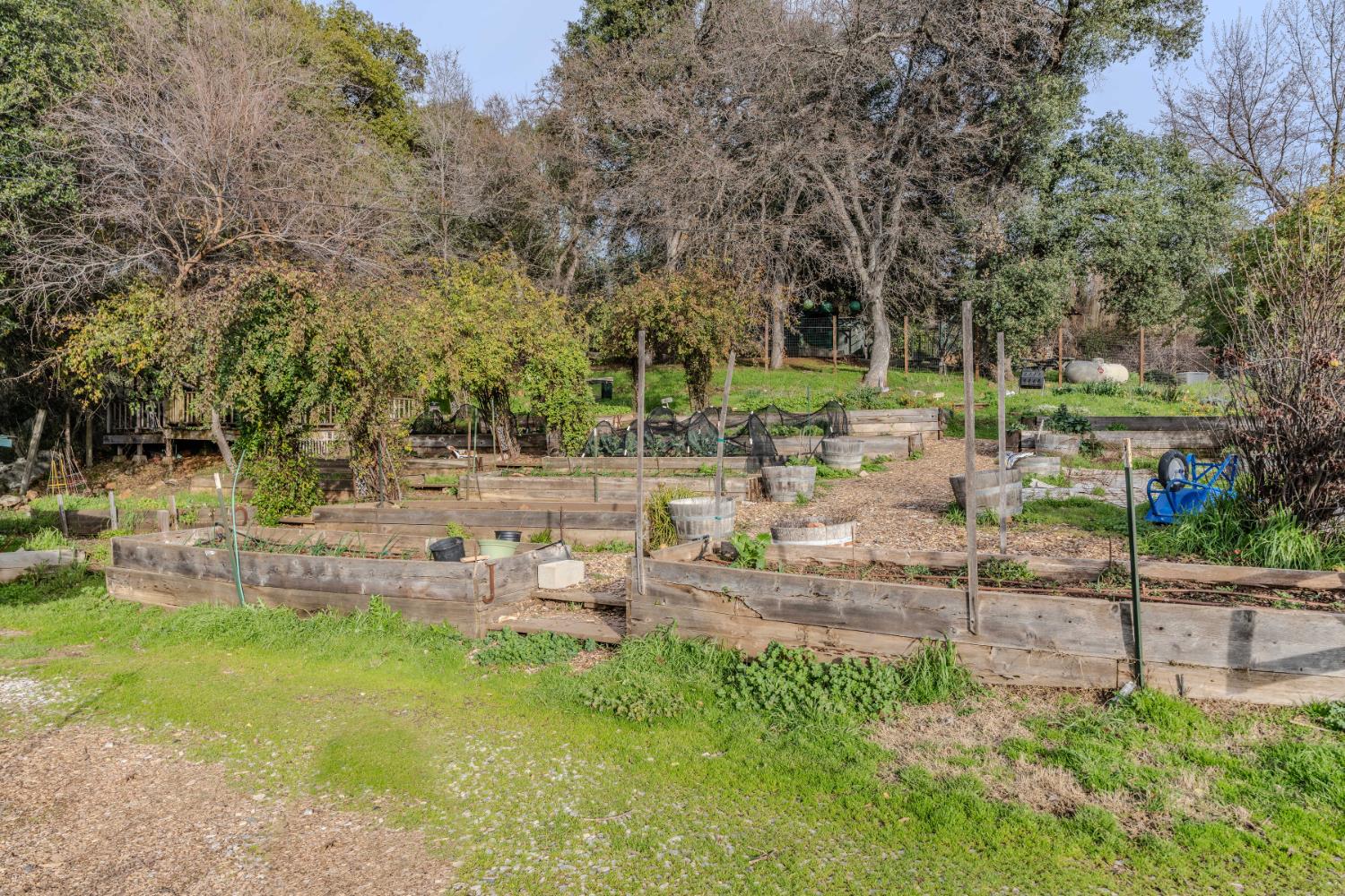 Detail Gallery Image 54 of 85 For 21645 Parrotts Ferry Rd, Columbia,  CA 95310 - – Beds | – Baths