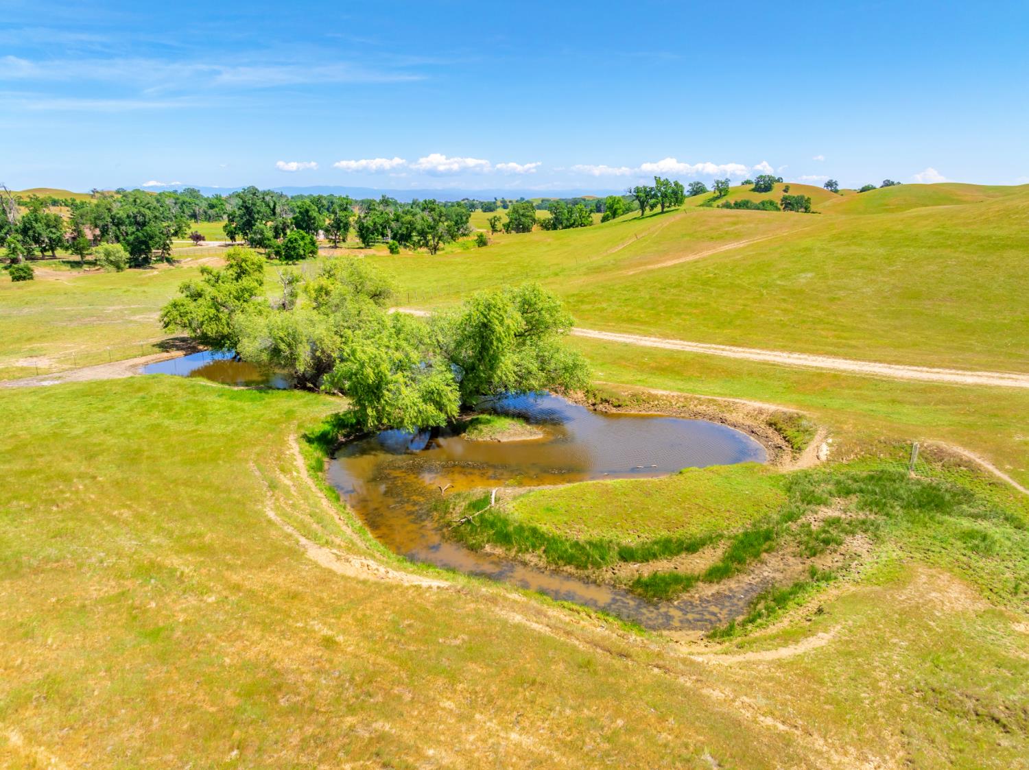 Detail Gallery Image 48 of 89 For 15605 Johnson Rd, Red Bluff,  CA 96080 - 4 Beds | 4 Baths