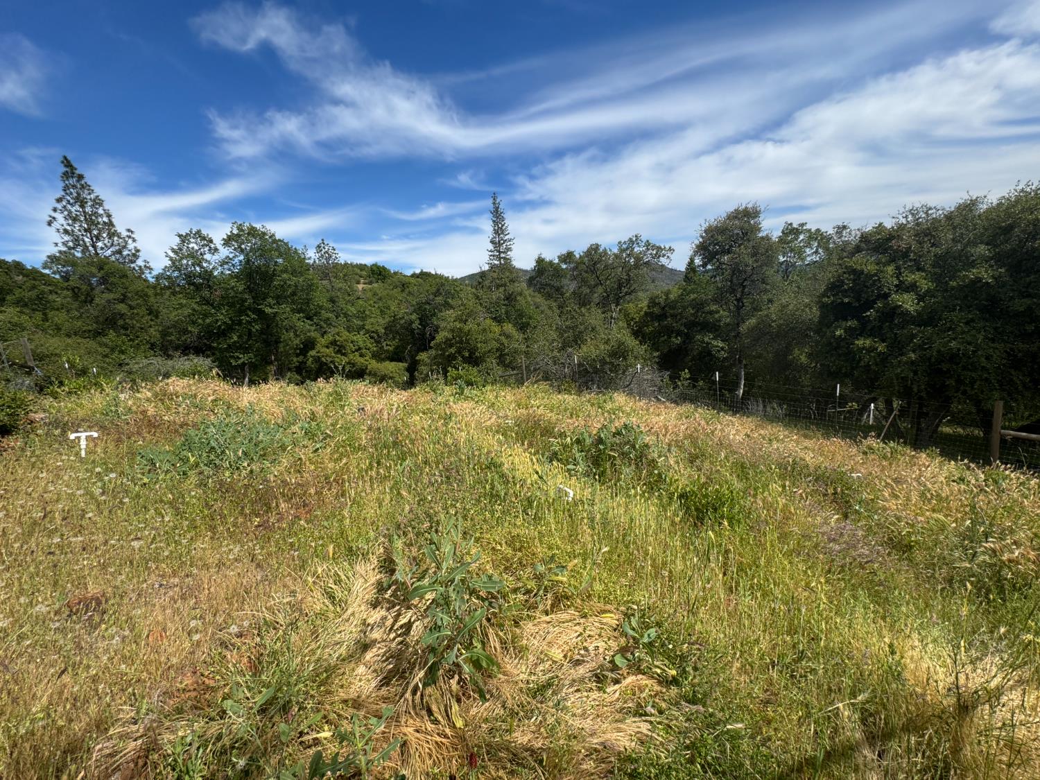 Detail Gallery Image 79 of 79 For 12991 Lake Francis Ext Rd, Dobbins,  CA 95935 - 2 Beds | 2 Baths