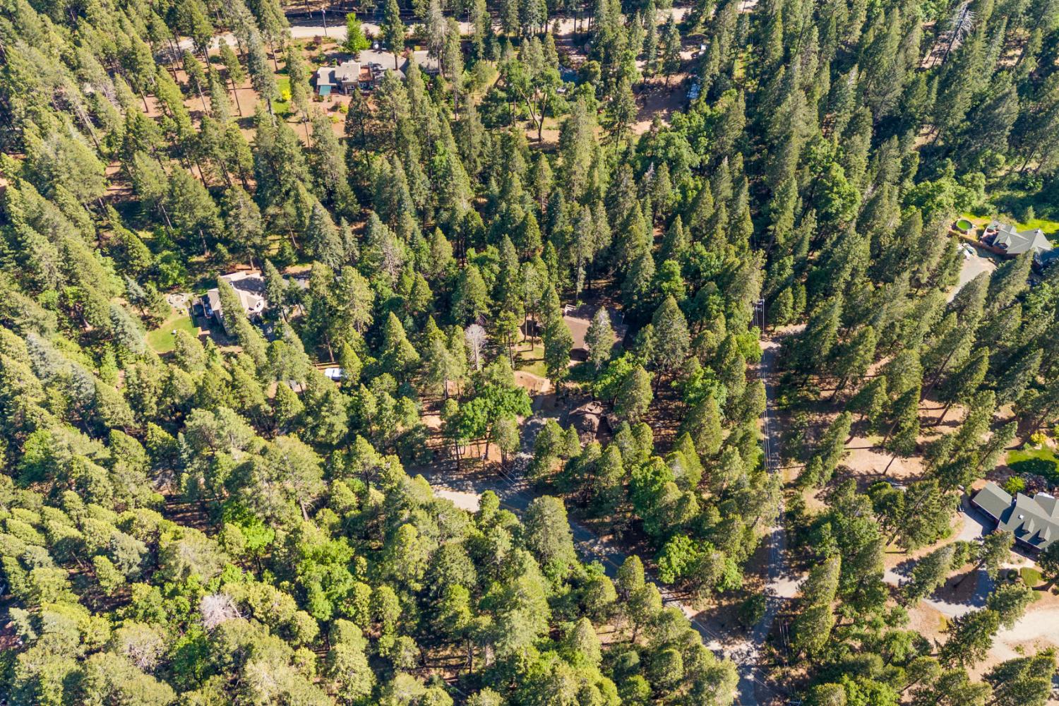 Detail Gallery Image 89 of 98 For 19163 Scotts Flat, Nevada City,  CA 95959 - 5 Beds | 5 Baths