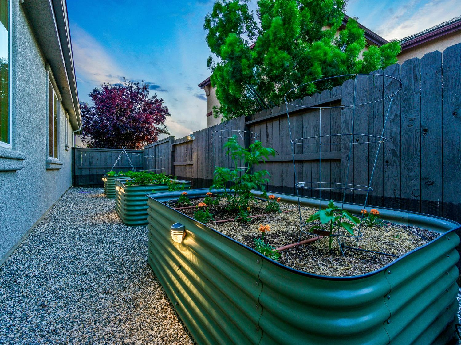 Detail Gallery Image 3 of 71 For 4015 David Loop, El Dorado Hills,  CA 95762 - 4 Beds | 3 Baths