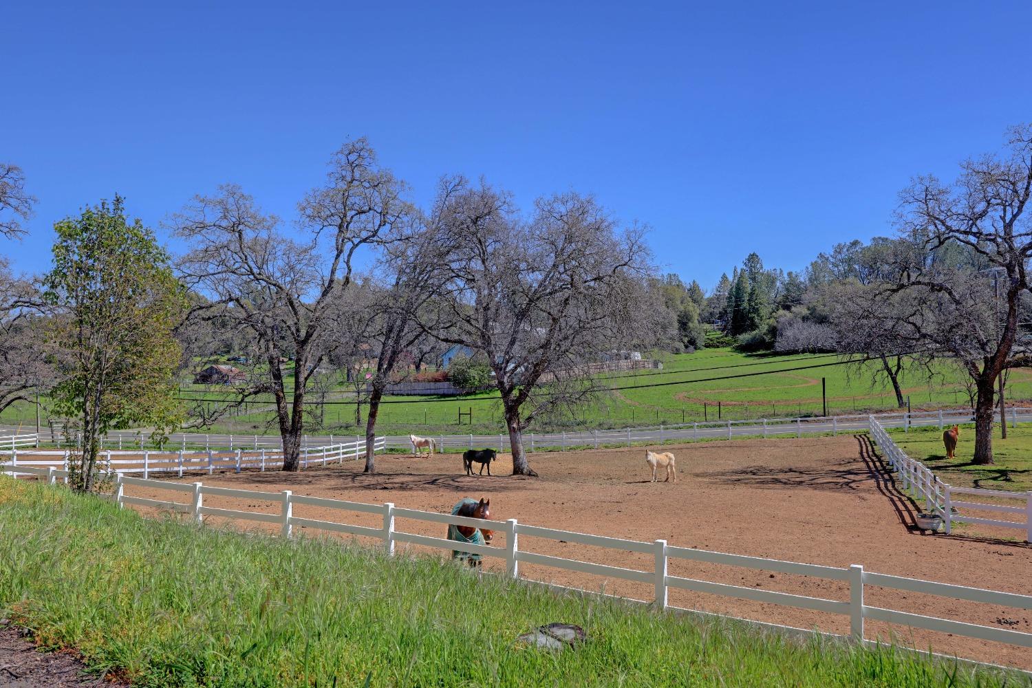 El Dorado Road, Placerville, California image 11