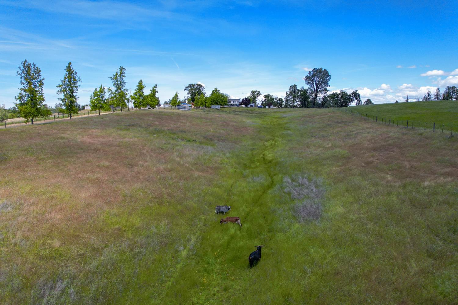 Detail Gallery Image 72 of 96 For 3081 Little Spur, Somerset,  CA 95684 - 3 Beds | 2 Baths
