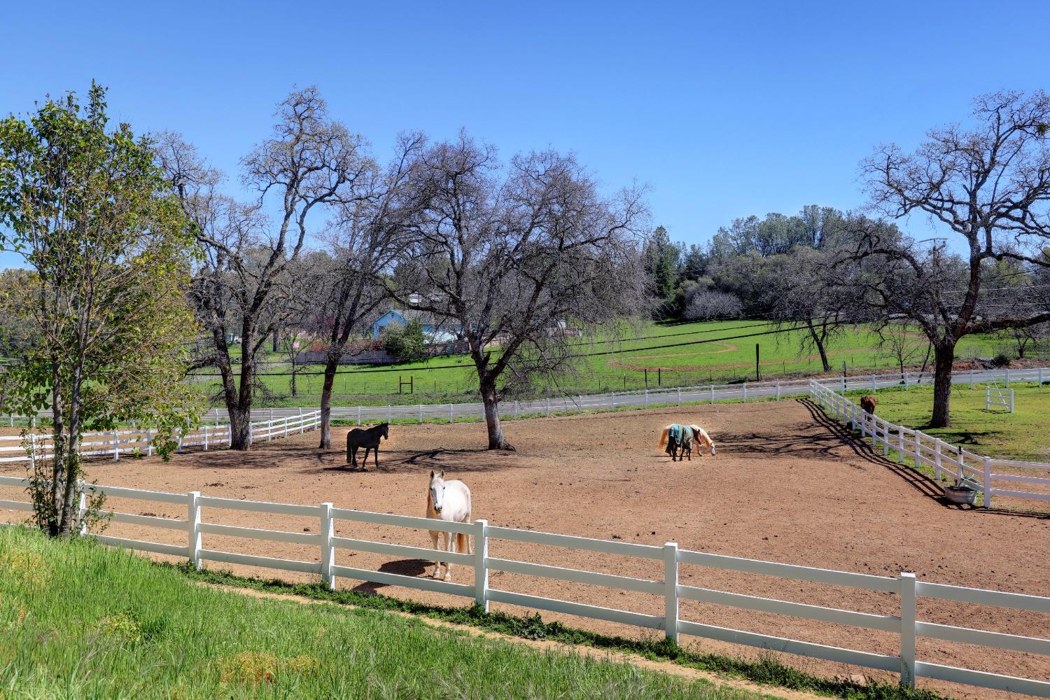 El Dorado Road, Placerville, California image 13
