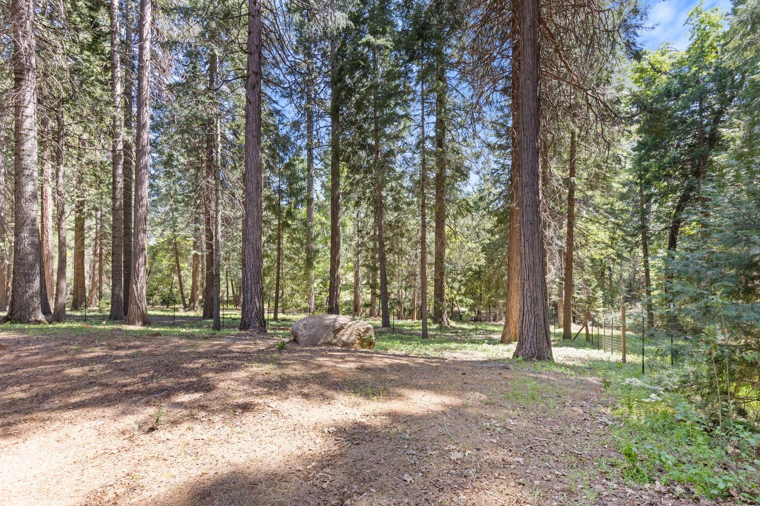 Detail Gallery Image 68 of 98 For 19163 Scotts Flat, Nevada City,  CA 95959 - 5 Beds | 5 Baths