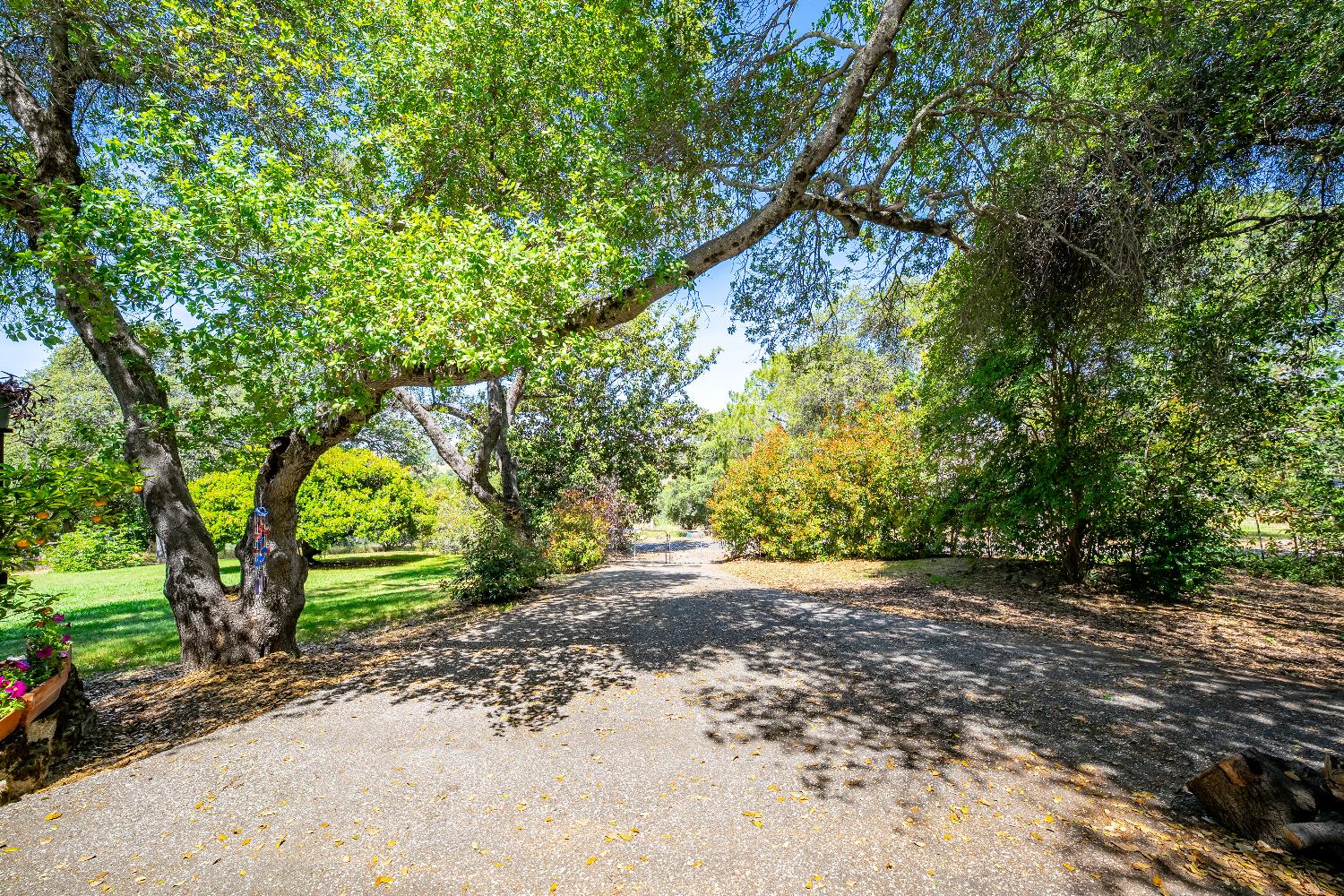 Detail Gallery Image 54 of 80 For 10100 Quail Hill Dr, Newcastle,  CA 95658 - 3 Beds | 2/1 Baths