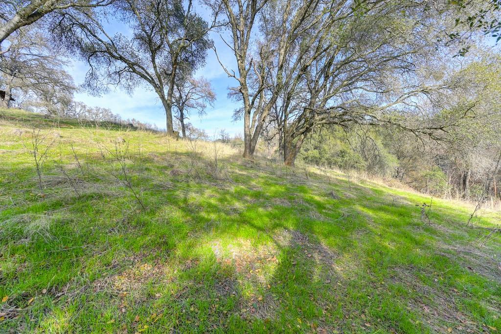 Detail Gallery Image 33 of 43 For 1930 Indian Rock Rd, Cool,  CA 95614 - 3 Beds | 2/1 Baths