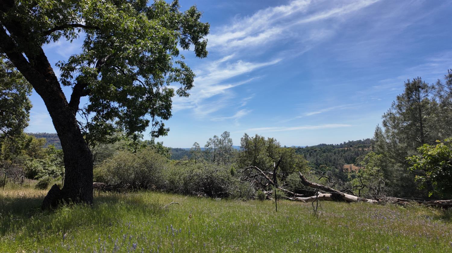 Detail Gallery Image 19 of 29 For 0 Hubbard Rd, Sheep Ranch,  CA 95246 - – Beds | – Baths