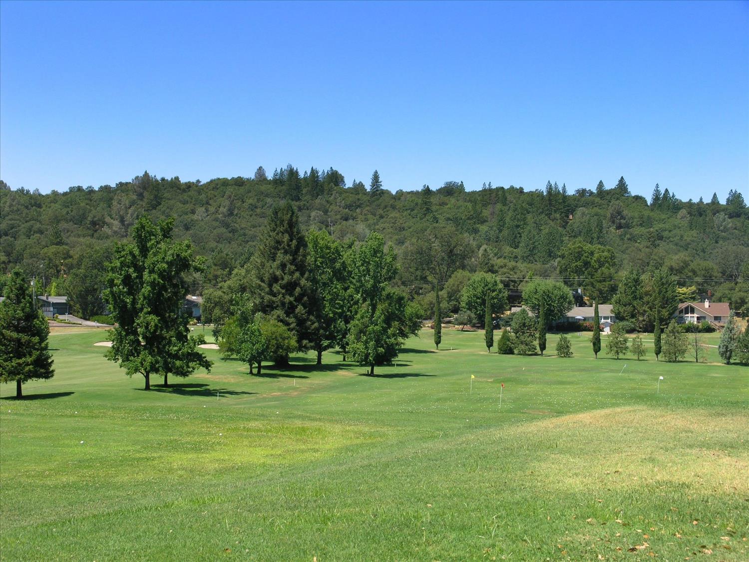 Detail Gallery Image 88 of 95 For 11391 Sandpiper Way, Penn Valley,  CA 95946 - 3 Beds | 2 Baths