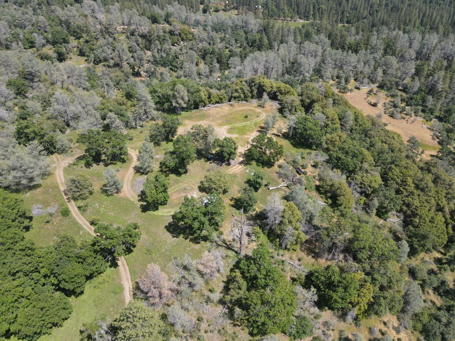 Detail Gallery Image 1 of 29 For 0 Hubbard Rd, Sheep Ranch,  CA 95246 - – Beds | – Baths