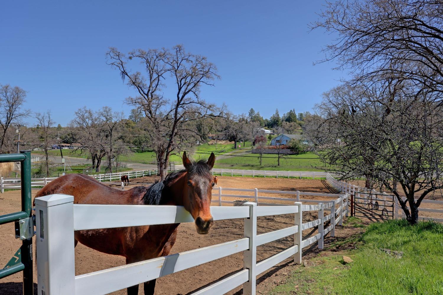 El Dorado Road, Placerville, California image 15