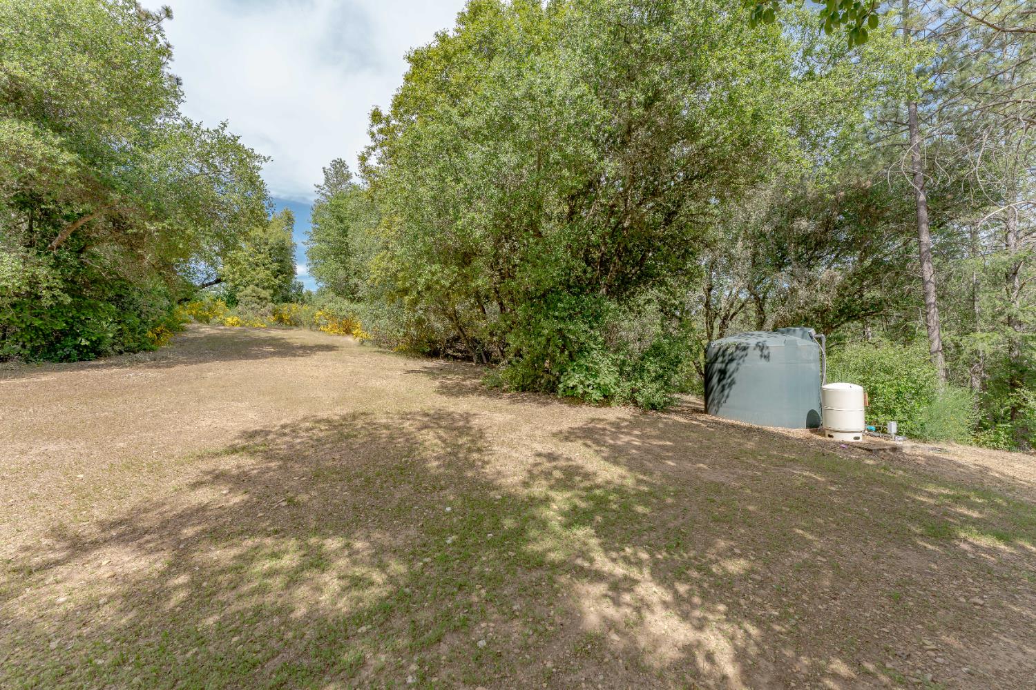 Moose Trail, Greenwood, California image 5