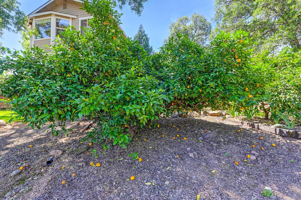 Detail Gallery Image 31 of 37 For 10513 Indian Hill Rd, Newcastle,  CA 95658 - 3 Beds | 2 Baths