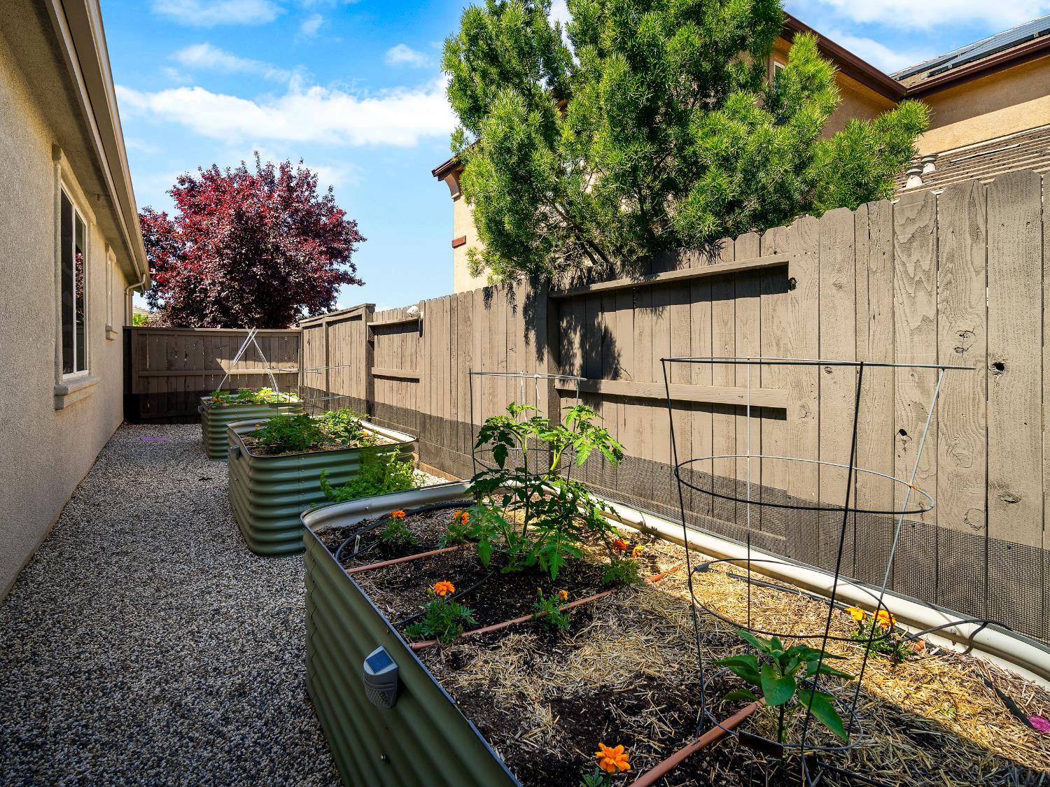 Detail Gallery Image 41 of 71 For 4015 David Loop, El Dorado Hills,  CA 95762 - 4 Beds | 3 Baths