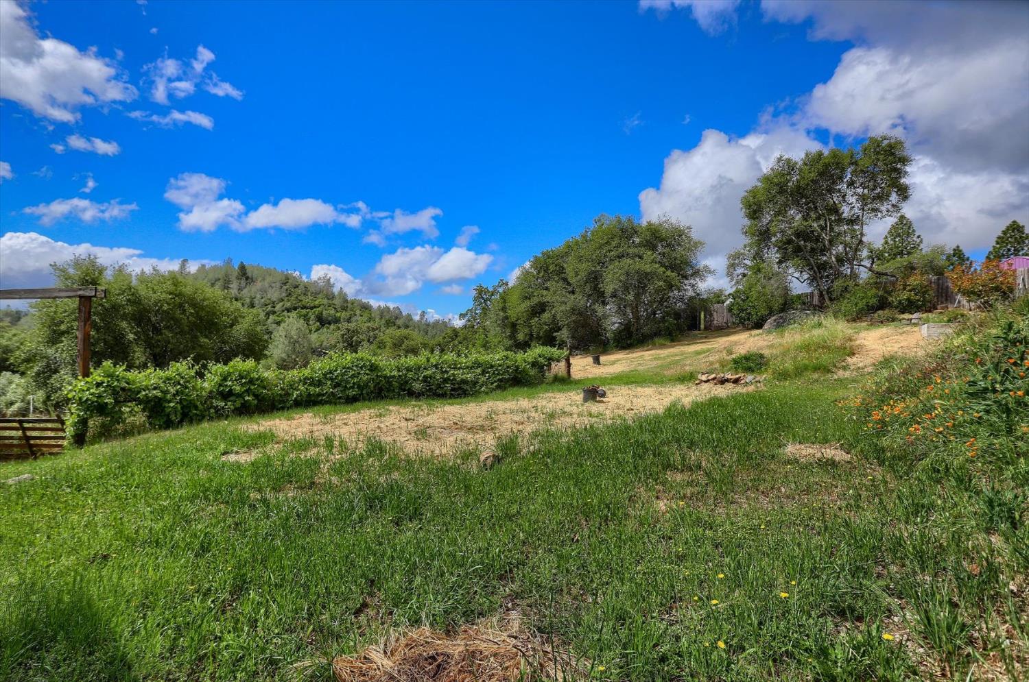 Detail Gallery Image 48 of 65 For 18386 Piper Ln, Penn Valley,  CA 95946 - 3 Beds | 2 Baths