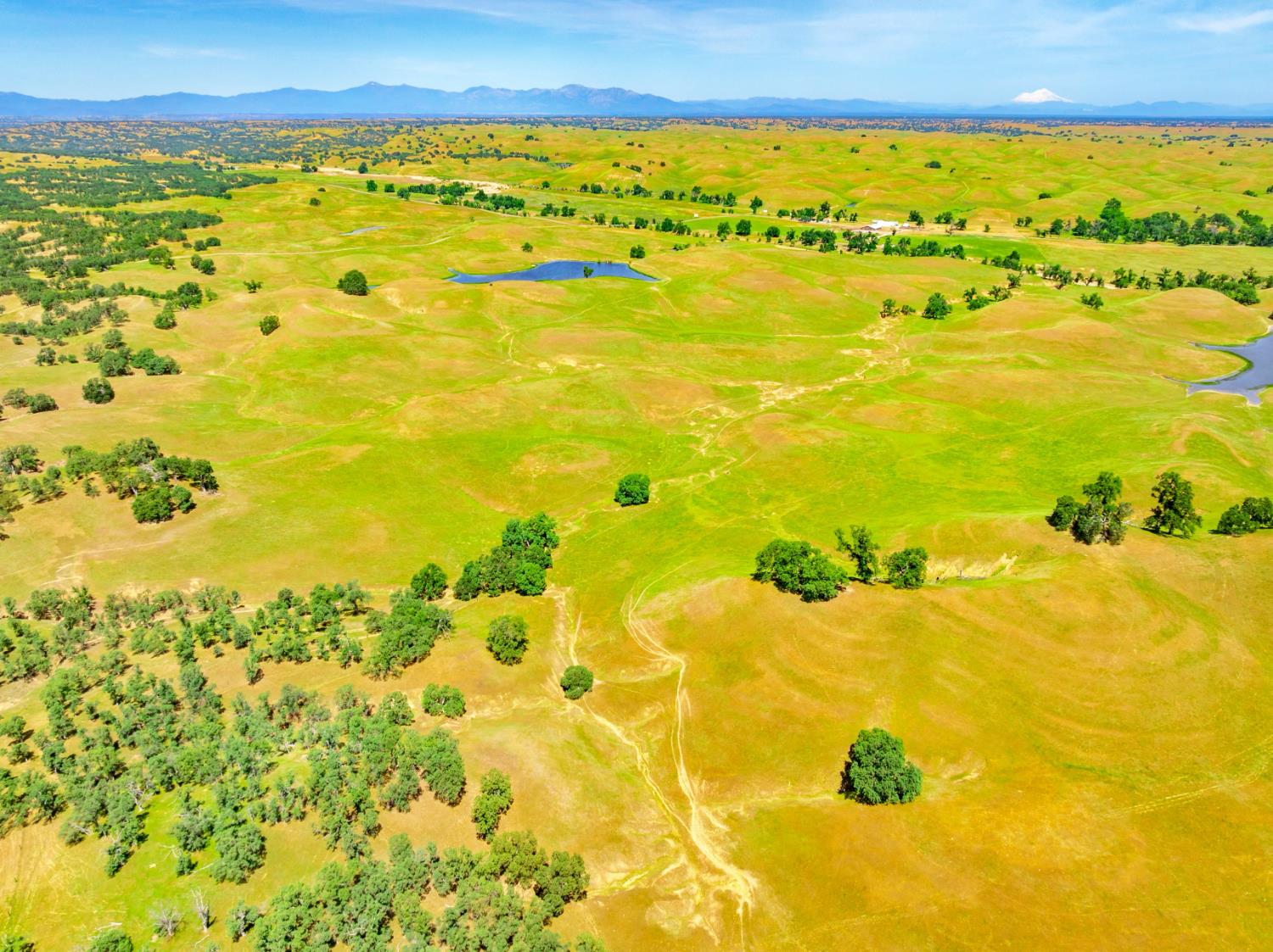 Detail Gallery Image 71 of 89 For 15605 Johnson Rd, Red Bluff,  CA 96080 - 4 Beds | 4 Baths