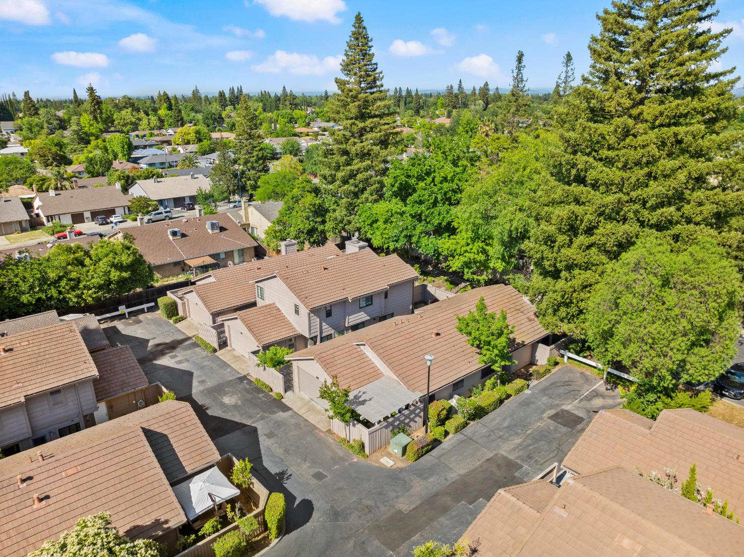Detail Gallery Image 45 of 53 For 8193 Rose Vine Ln, Fair Oaks,  CA 95628 - 2 Beds | 2 Baths