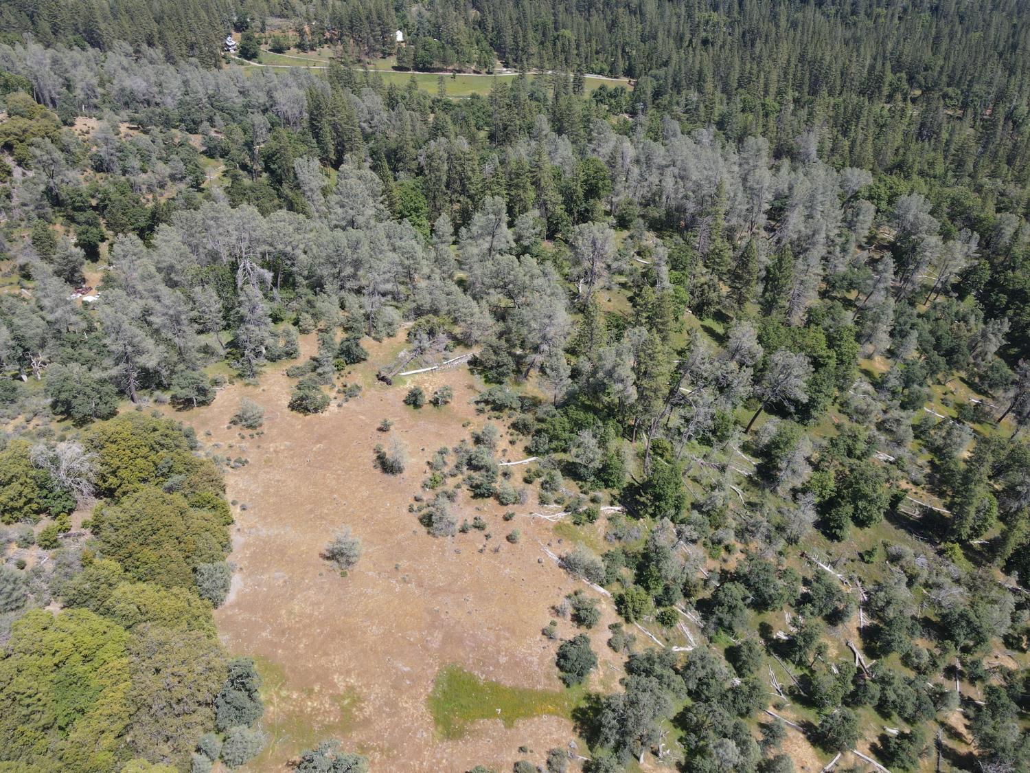 Detail Gallery Image 13 of 29 For 0 Hubbard Rd, Sheep Ranch,  CA 95246 - – Beds | – Baths