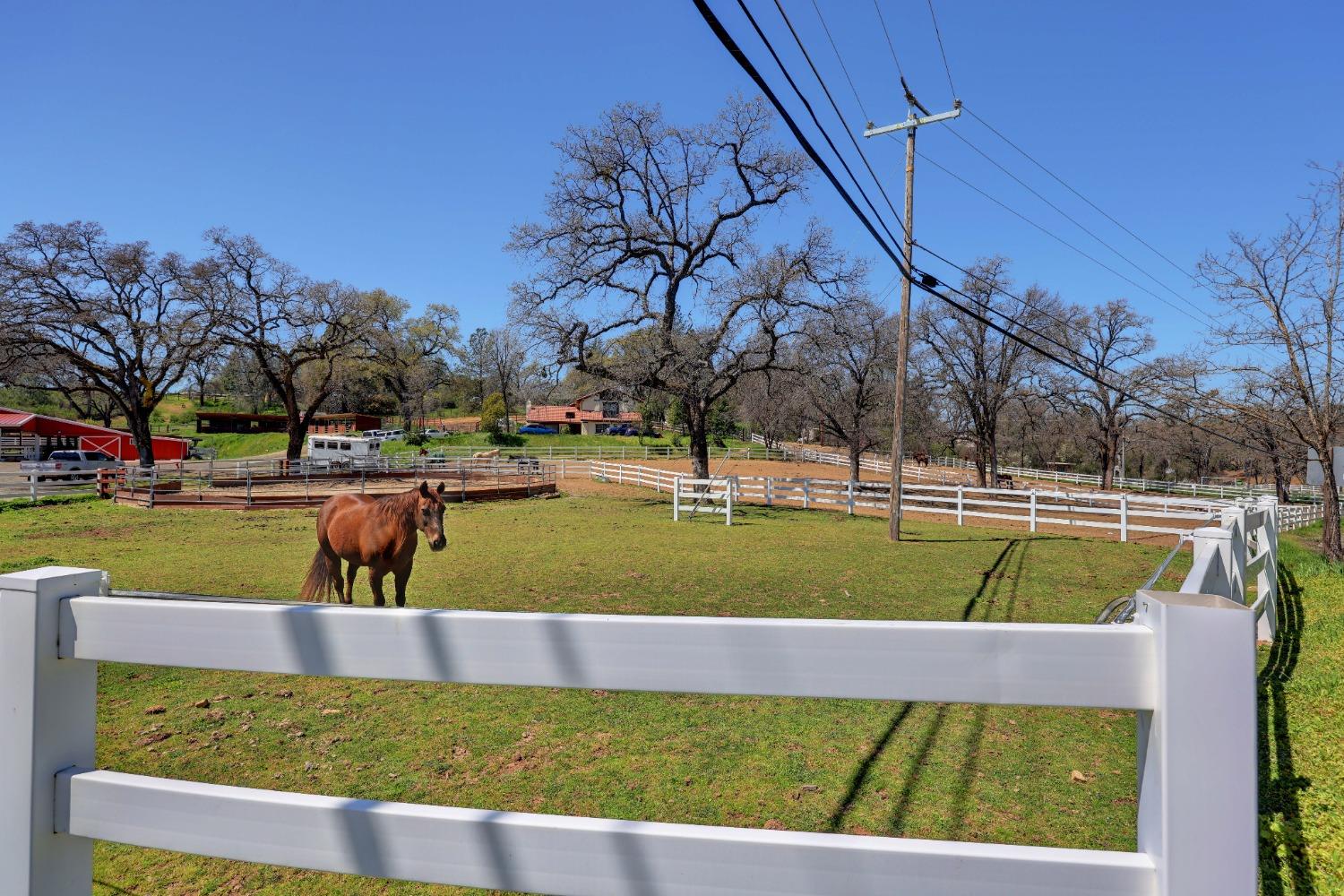 El Dorado Road, Placerville, California image 4