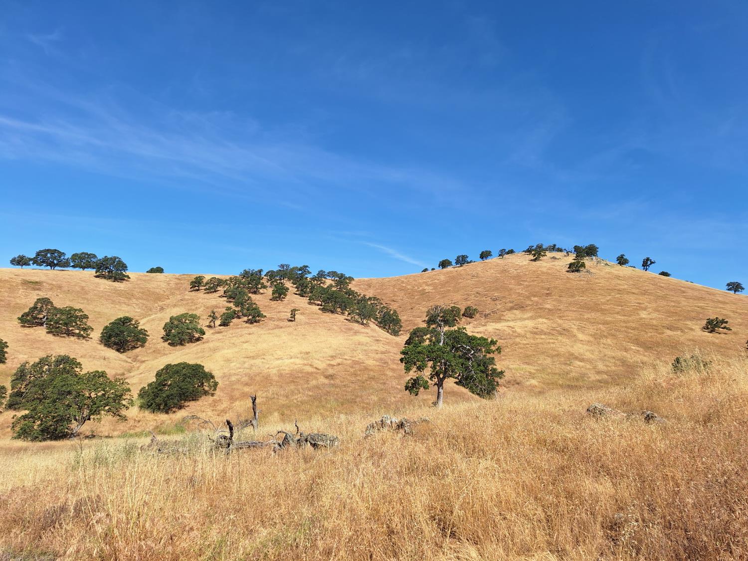 Hernandez, La Grange, California image 6