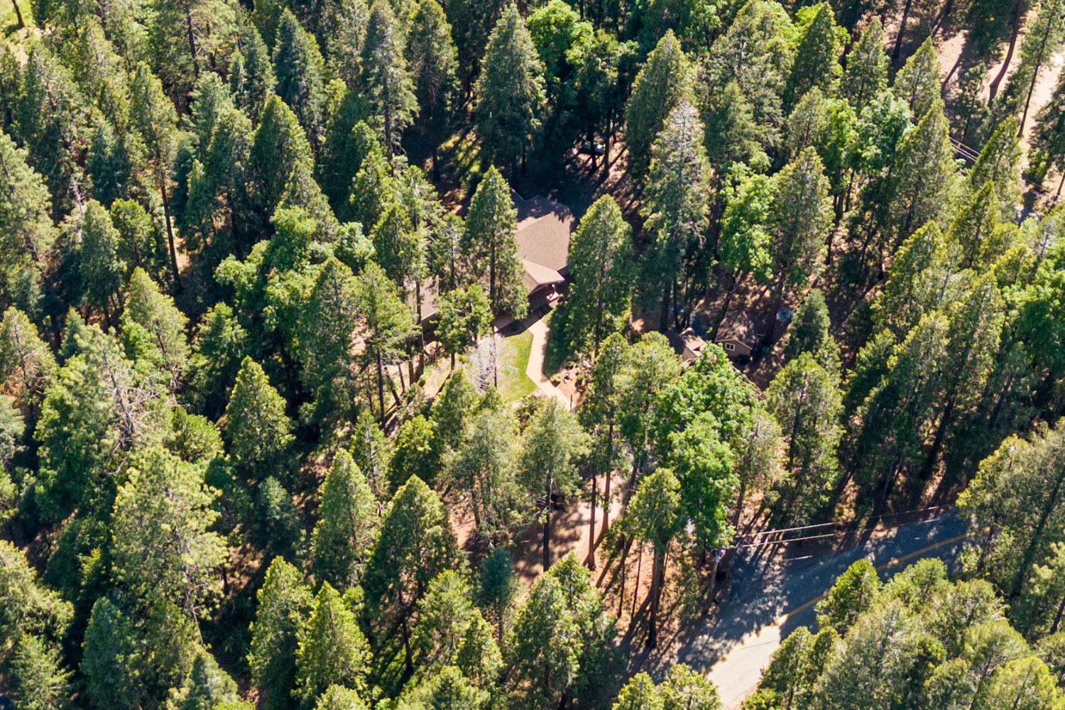 Detail Gallery Image 91 of 98 For 19163 Scotts Flat, Nevada City,  CA 95959 - 5 Beds | 5 Baths