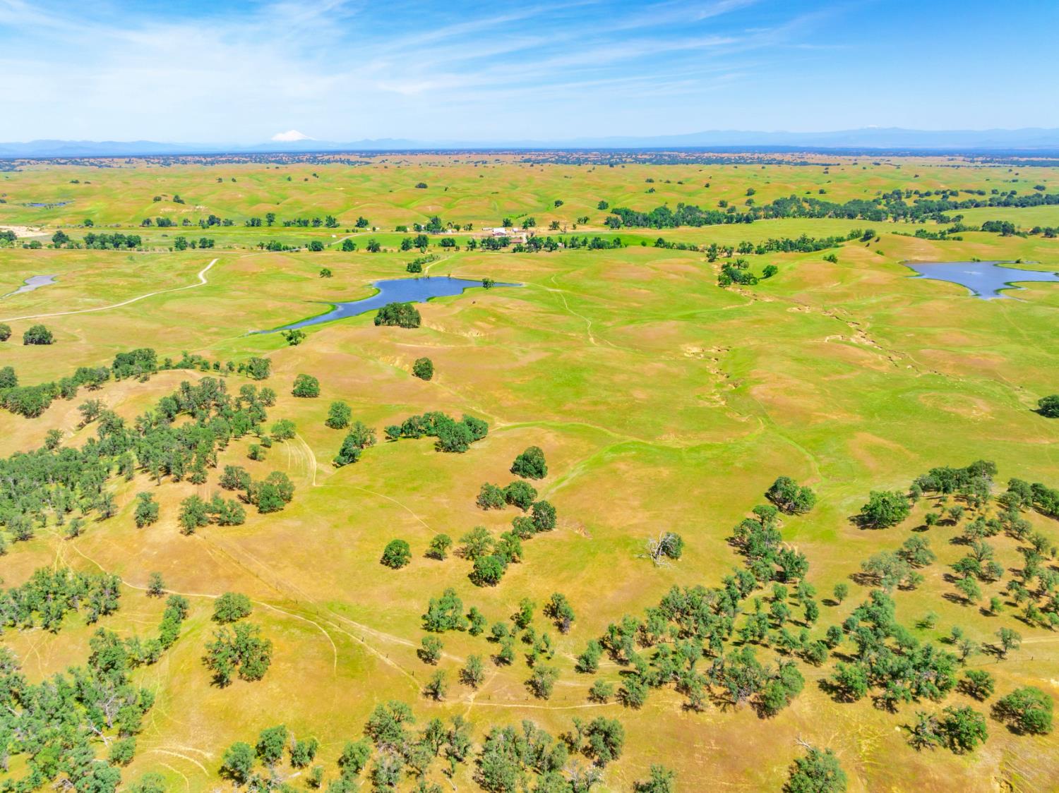 Detail Gallery Image 58 of 89 For 15605 Johnson Rd, Red Bluff,  CA 96080 - 4 Beds | 4 Baths