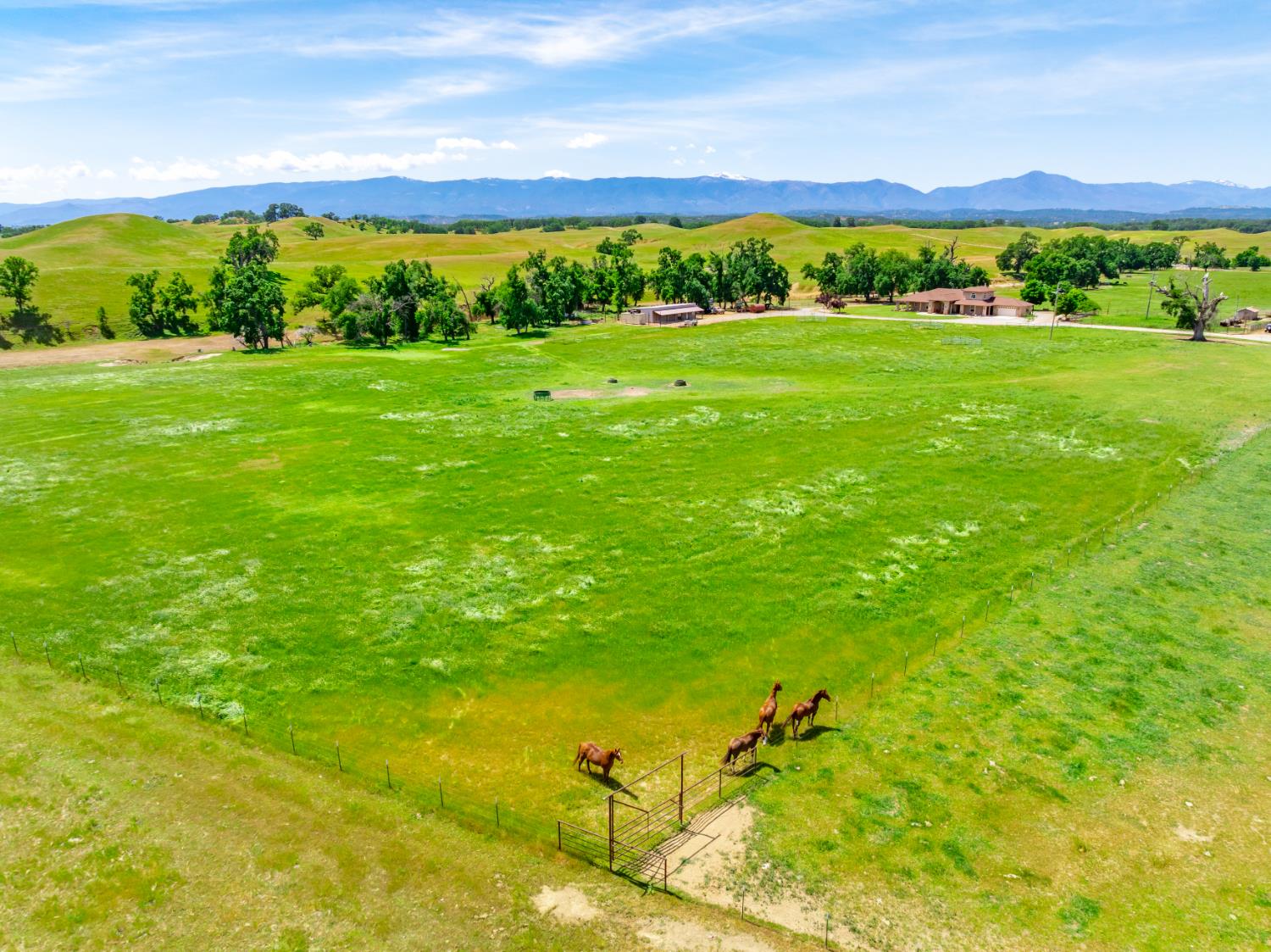 Detail Gallery Image 79 of 89 For 15605 Johnson Rd, Red Bluff,  CA 96080 - 4 Beds | 4 Baths