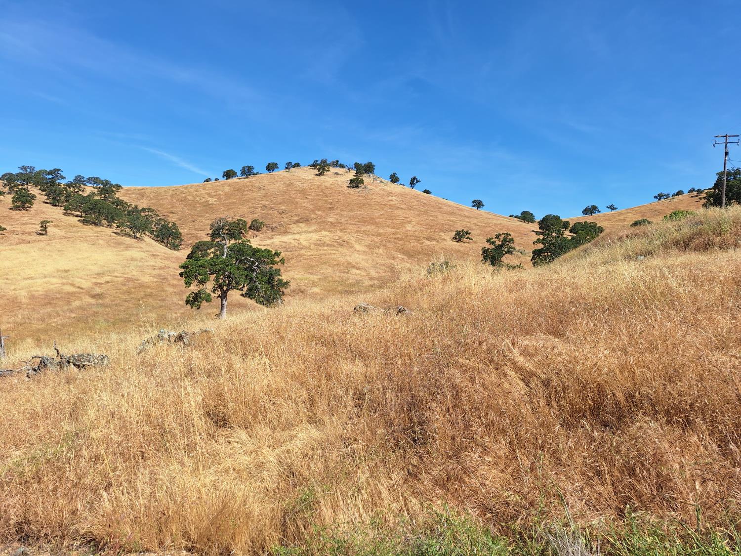 Hernandez, La Grange, California image 5