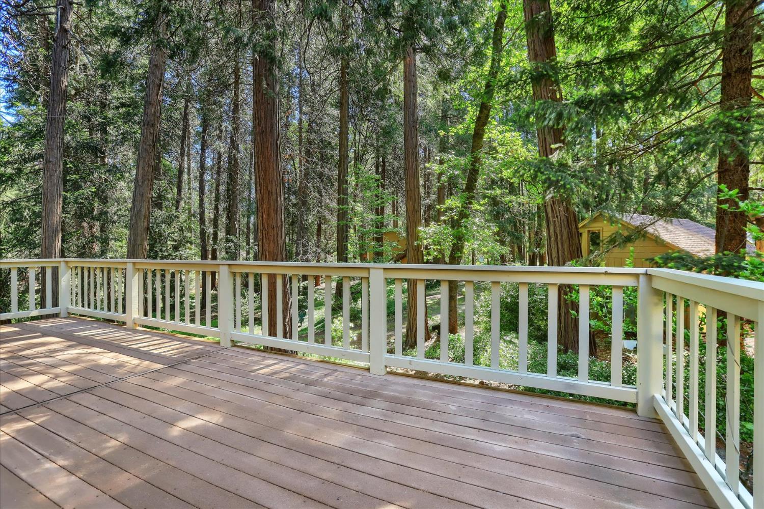 Detail Gallery Image 44 of 76 For 16800 Sun Bloom Way, Nevada City,  CA 95959 - 4 Beds | 3 Baths