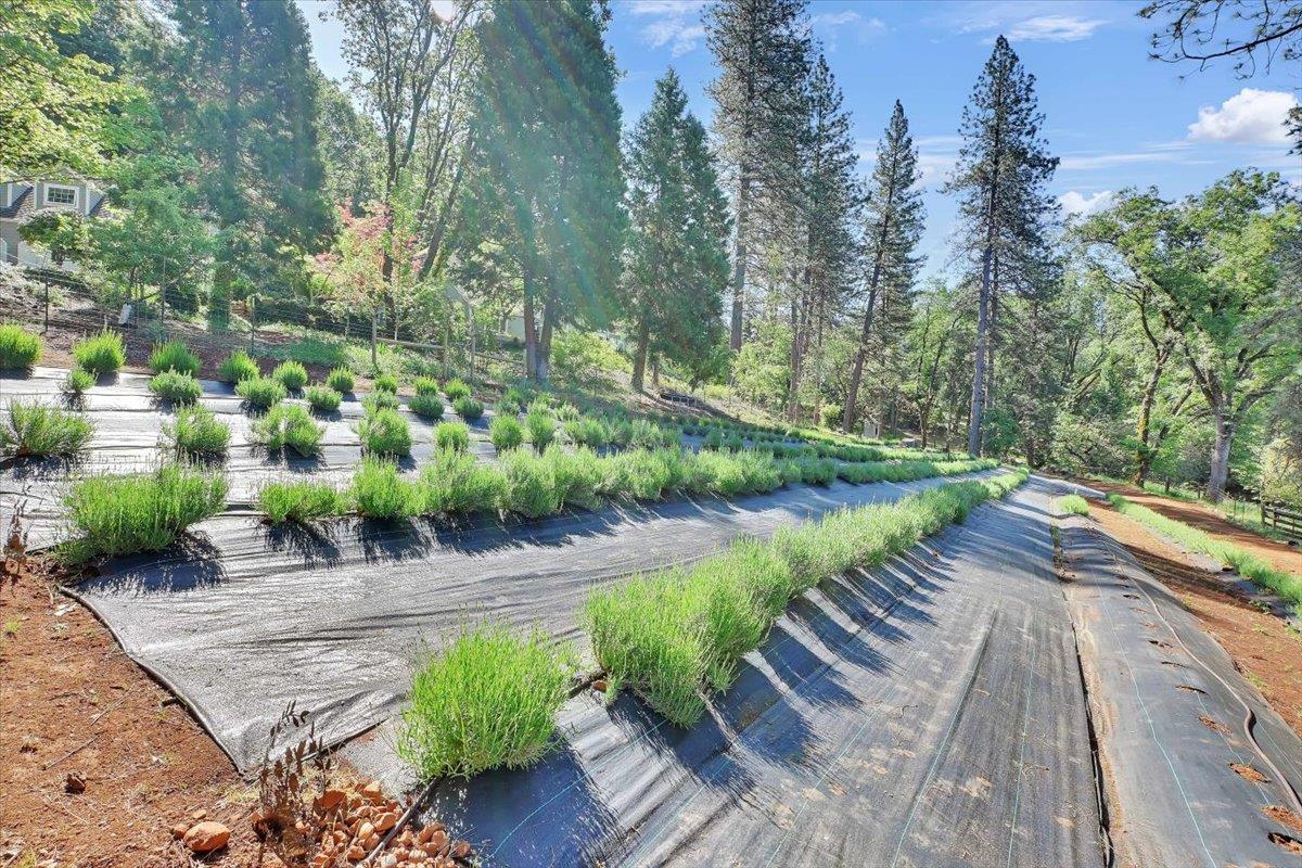 Detail Gallery Image 63 of 77 For 14833 Quail Pointe Ln, Grass Valley,  CA 95945 - 3 Beds | 3/1 Baths