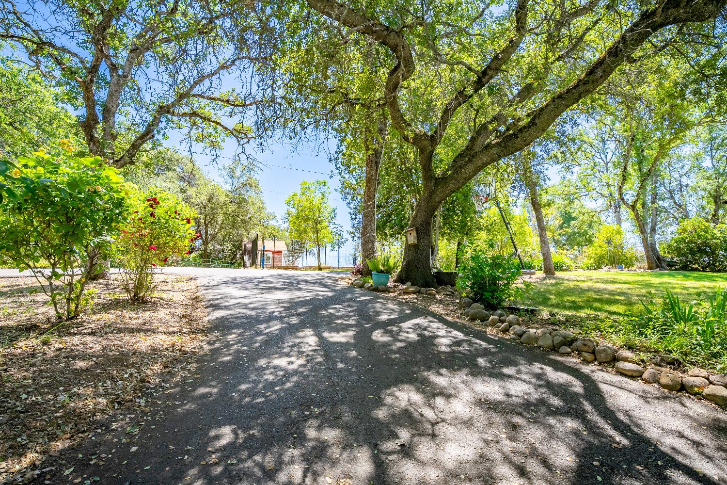 Detail Gallery Image 10 of 80 For 10100 Quail Hill Dr, Newcastle,  CA 95658 - 3 Beds | 2/1 Baths