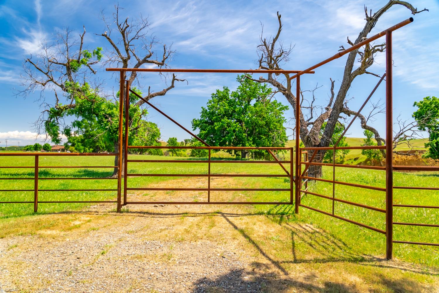 Detail Gallery Image 46 of 89 For 15605 Johnson Rd, Red Bluff,  CA 96080 - 4 Beds | 4 Baths