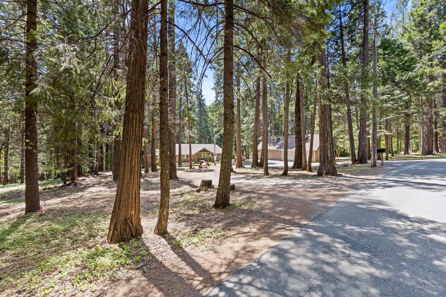 Detail Gallery Image 12 of 98 For 19163 Scotts Flat, Nevada City,  CA 95959 - 5 Beds | 5 Baths