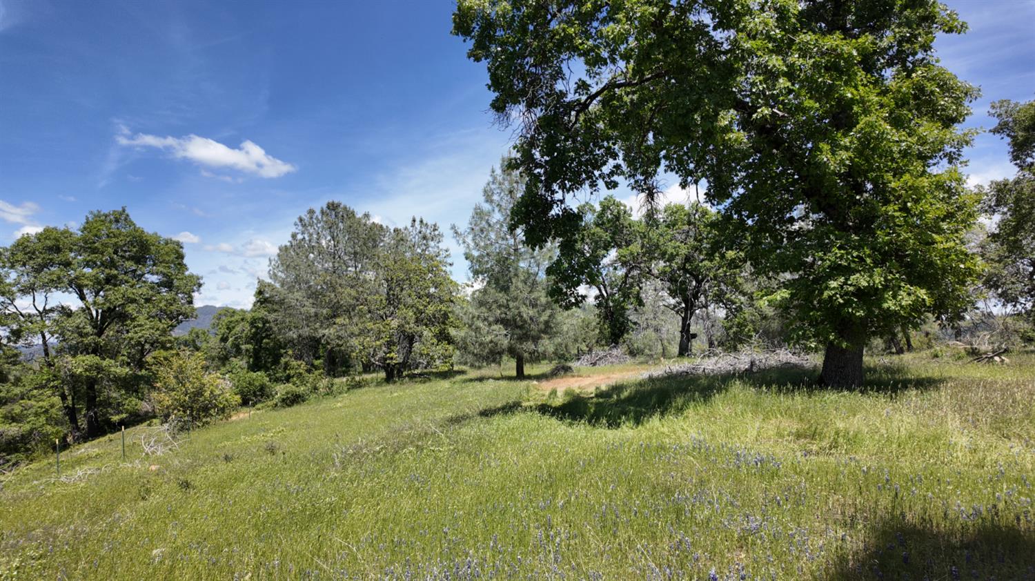 Detail Gallery Image 18 of 29 For 0 Hubbard Rd, Sheep Ranch,  CA 95246 - – Beds | – Baths