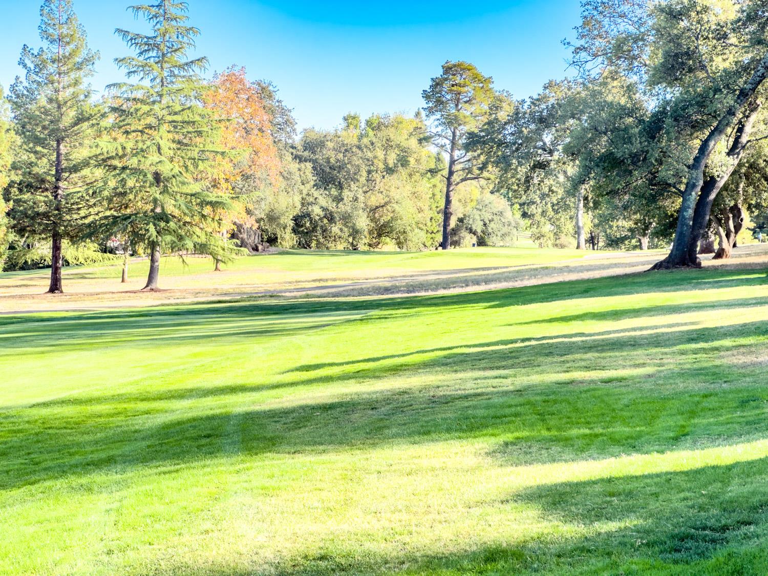 Cambridge Road, Cameron Park, California image 48